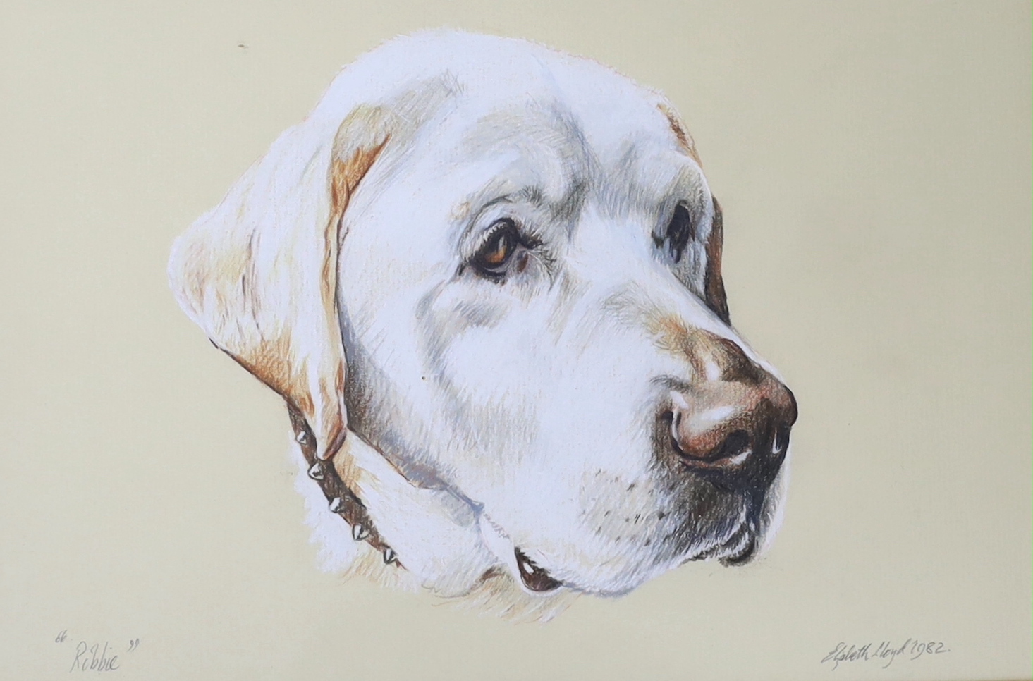 A pair of gouache, River landscapes, each indistinctly signed and inscribed verso, together with a heightened pencil drawing of a labrador 'Ribbie', by Elizabeth Lloyd, signed and dated 1982, largest 28 x 19cm